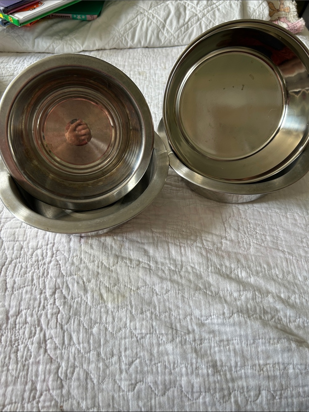 Stainless Steel Dog/Pet  Bowls - Set of 4